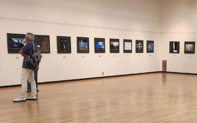 shizuoka-nika-art-exhibition1 二科展写真部 静岡支部の展示会の様子