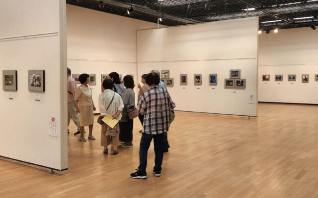 shizuoka-nika-art-exhibition2 二科展写真部 静岡支部の展示会の様子